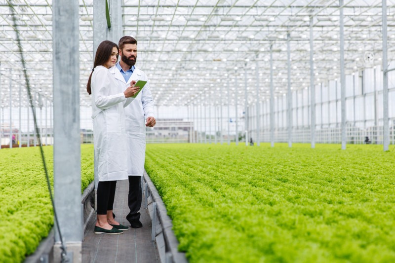 Julien Agro Infratech Declares 1:1 Bonus Share Issue Amid Strategic Growth Push