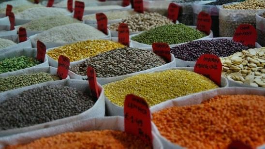 Gut Instincts: AIIMS Expert Reveals 3 Power Seeds to Sweep Your System Clean