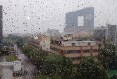 Umbrella Alert: Capital Gets Surprise Shower Weekend