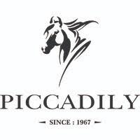 Piccadily Sugar and Allied Industries Bets on Stability with ₹100 Million NCPS Issue