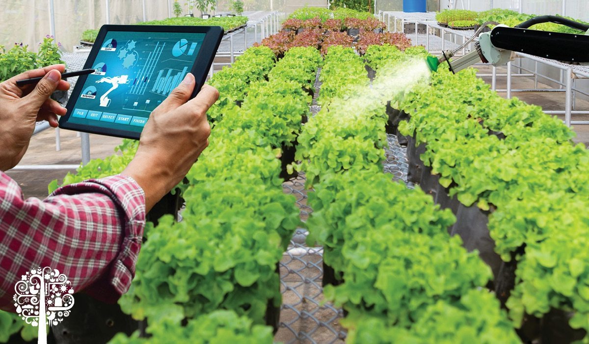 Technology And Smart Tools Make Urban Gardening Accessible To Young Professionals