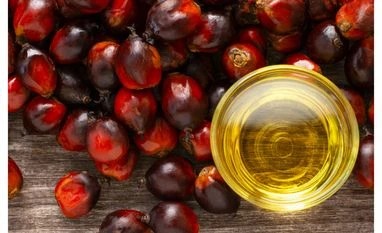 India’s Vegetable Oil Imports Show Mixed Trends in January and February
