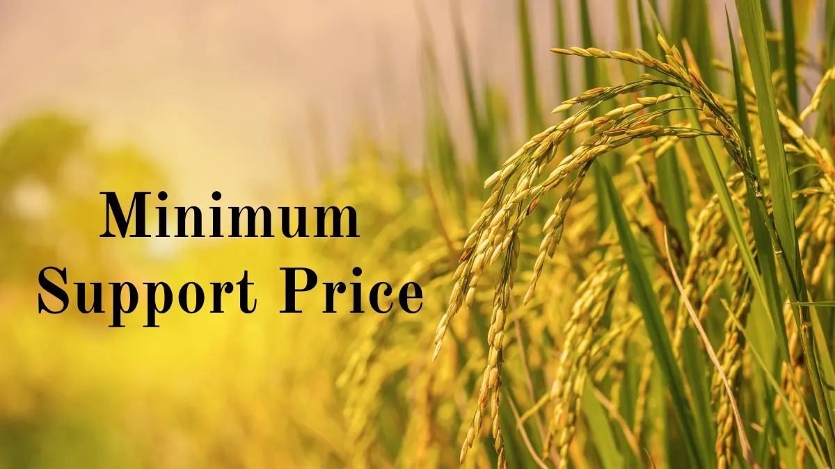 Harvest Payday: 21 Lakh Farmers Reap ₹62,156 Crore at MSP