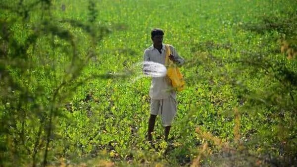 Cabinet Boosts Fertilizer Subsidy: ₹372.16 Billion Approved to Support Farmers