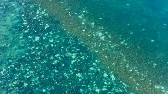 A Force Is Keeping the Indian Ocean Hot and Ningaloo is Feeling the Heat