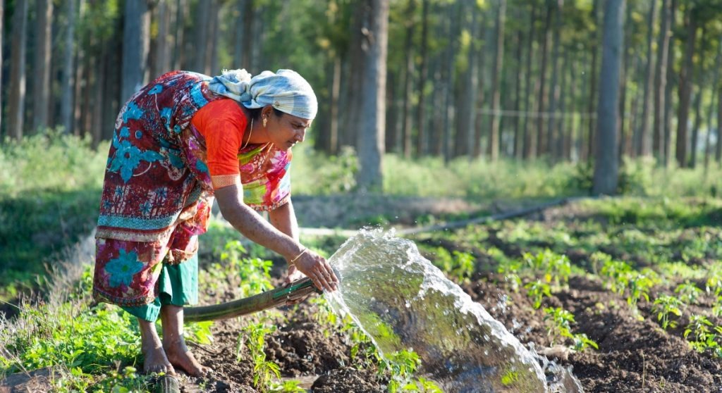 India Moves To Certify Natural Farming – What It Means For Farmers And Markets