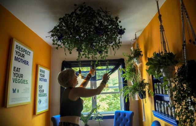 Rain-Proof Your Kitchen: Smart Design Hacks for a Stylish, Humidity-Free Space