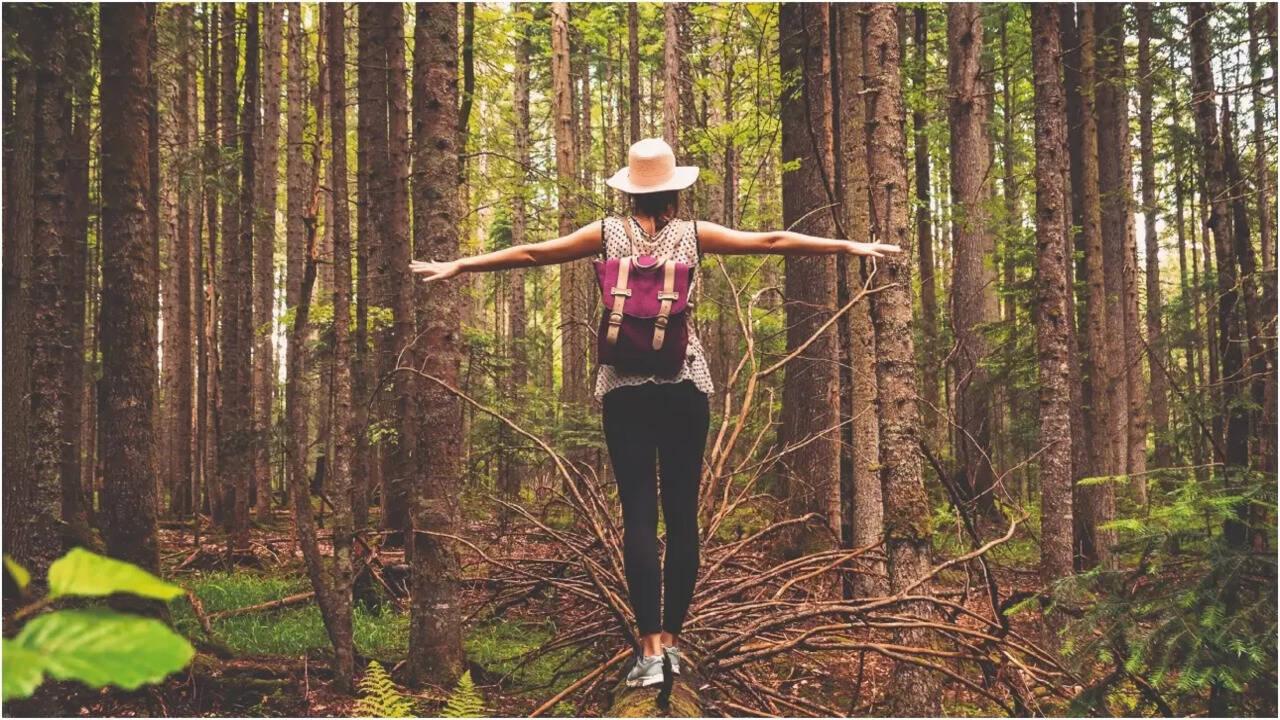 Switching Off to Tune In: Gen Z’s Digital Detox Hits Peak Mode in Himachal & Goa