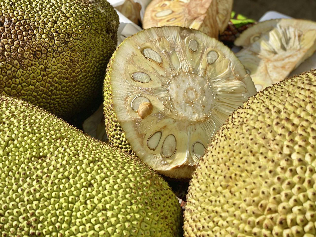 Can Jackfruit Truly Replace Meat In Indian Vegetarian Cooking Traditions?