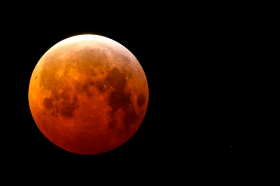 January's Wolf Moon Is All About Finding Balance in the New Year