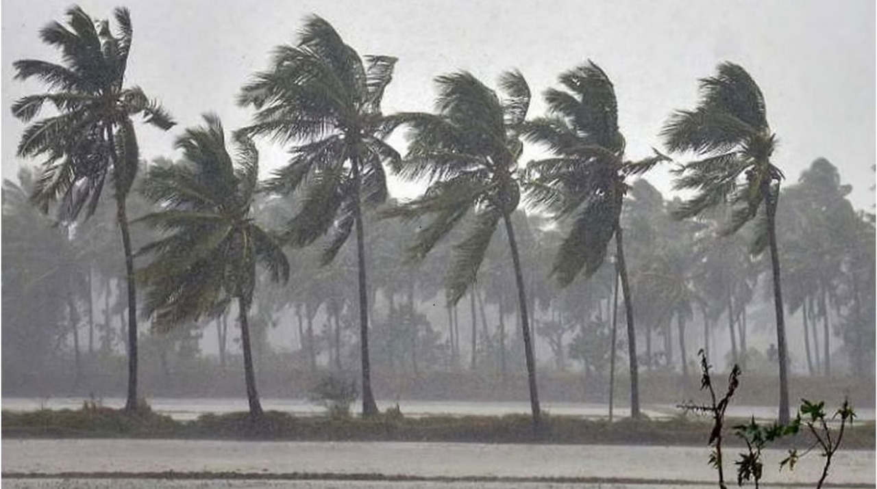 Cyclonic Storm To Hit North Tamil Nadu And Puducherry By November 30: IMD