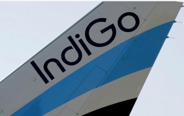 Digital Glitch Paralyzes IndiGo Website and Passenger Check-Ins Across India
