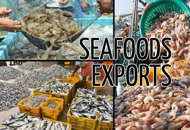 Seafood Sector Surges: Indian Exporter Stocks Rise 2.6%–6.3% on Global Demand Boost