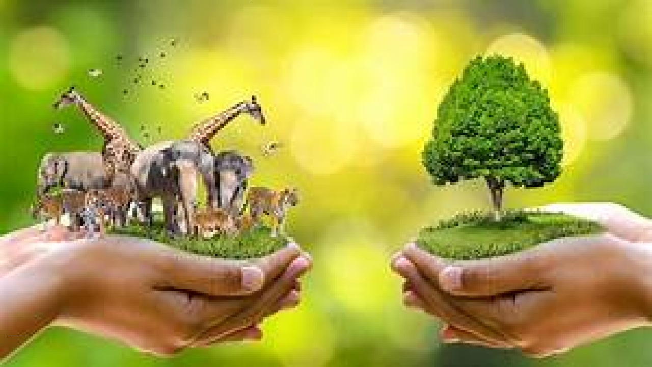 Nature vs. Humanity: The Ultimate Showdown of Resilience!