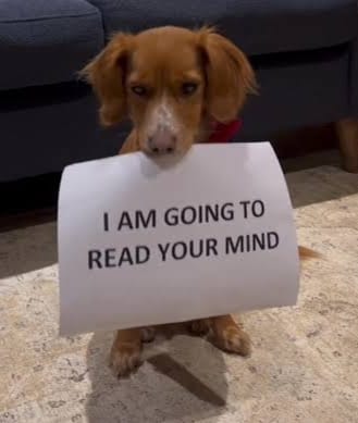 Wagging Tails and Mind Tales: The Science Behind Your Dog’s Sixth Sense