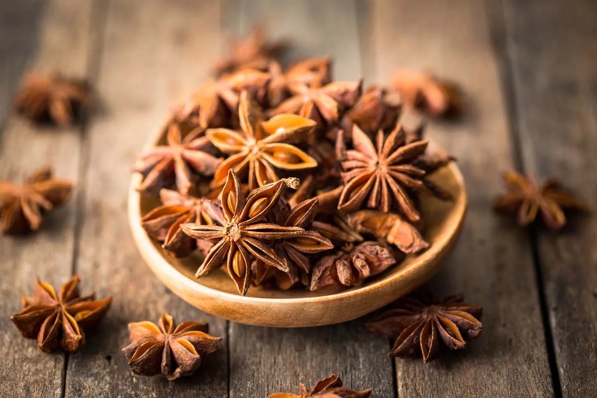 Spice Slips Away: Star Anise Shrinks as Climate and Culture Collide