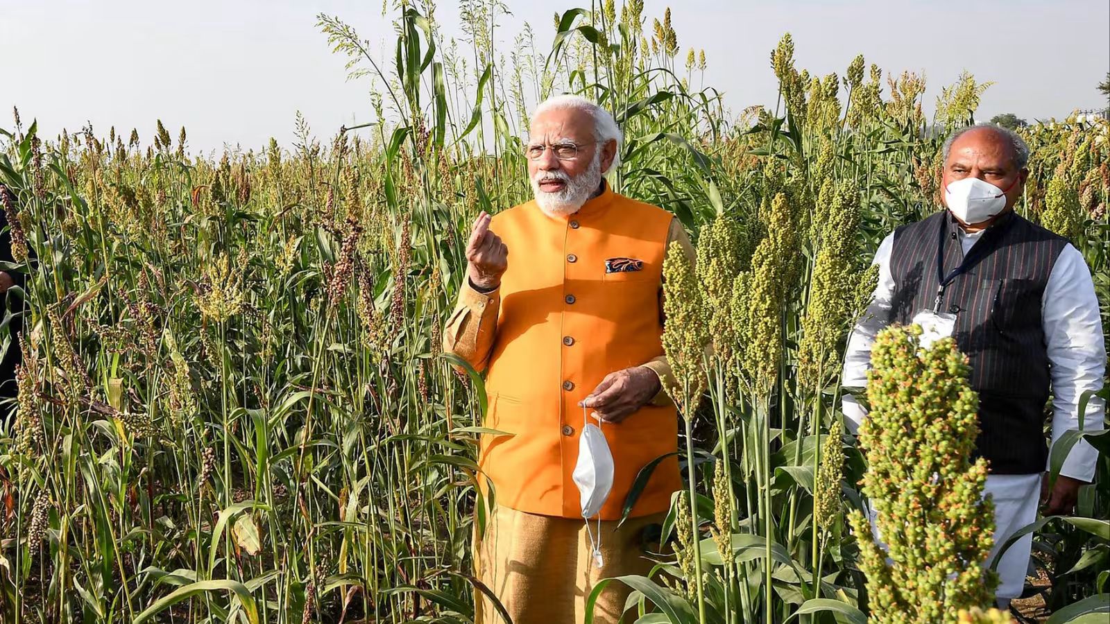 Natural Farming Push in Bhagalpur: Modi Govt’s Drive for Aatmanirbhar Farmers