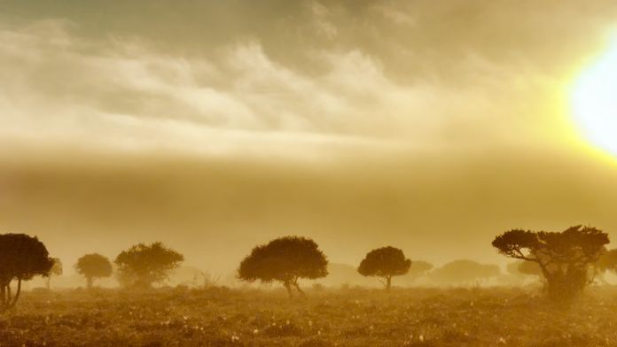 Commitment to Fund Climate Adaptation Marks New Era of Collaboration in Africa