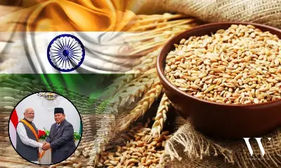 India to Supply High-Yield Wheat Seeds to Boost Indonesia’s Food Security