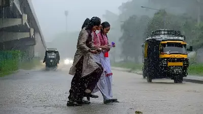 IMD Issues Orange Alert in Punjab and Haryana as Heavy Rain Continues
