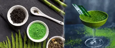 FDA Increases Screening of Imported Moringa Powder From India