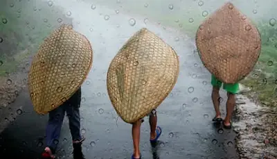 Weather Office Delivers Good News: India Records 3.5% Excess July Rainfall to Bolster Reservoirs and Harvests