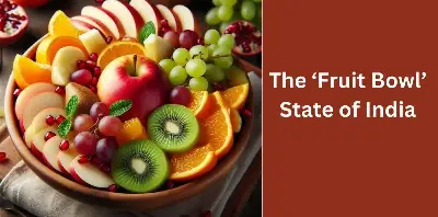 Beyond the Apple: Himachal Pradesh Diversifies Into Exotic Himalayan Fruits