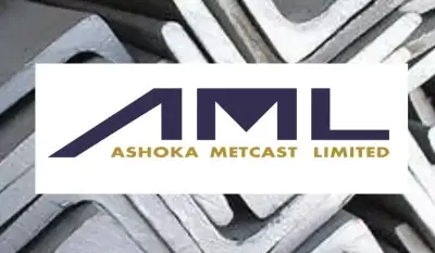 Ashoka Metcast Appoints Chandrakant Chauhan as New CFO