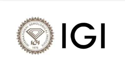 IGI India Board Approves ₹2.55 Interim Dividend Per Share