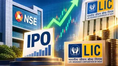 LIC May Raise NSE Stake After IPO, Won't Sell in OFS: CEO