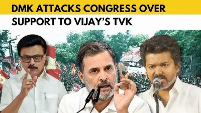 DMK Bristles As Congress Warms Up To Vijay’s TVK In Tamil Nadu