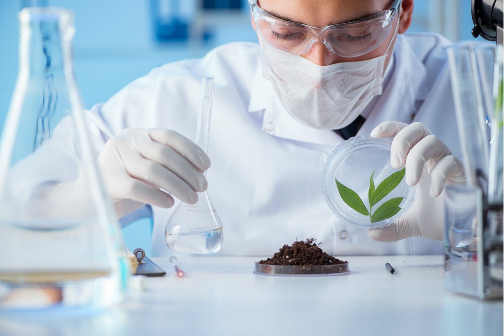 Lab Tested, Field Approved: The New Formula for Farming Success