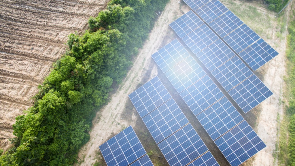 Tata Power Renewable Energy Powers Ahead with Milestone Achievements