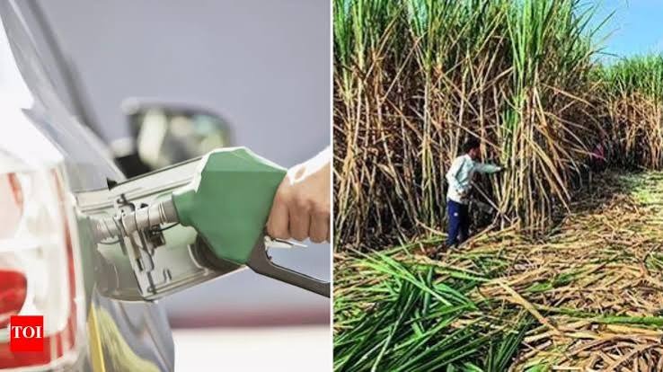 India Considers Restricting Sugarcane for Ethanol