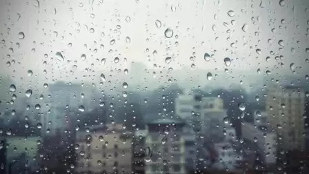 Delhi Drenched: Yellow Alert Issued as Rain Hits the Capital, Bringing a Chill to February