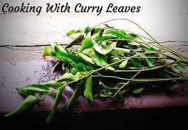 Leafing Through History: The Timeless Aroma of Curry Leaves in Indian Cuisine