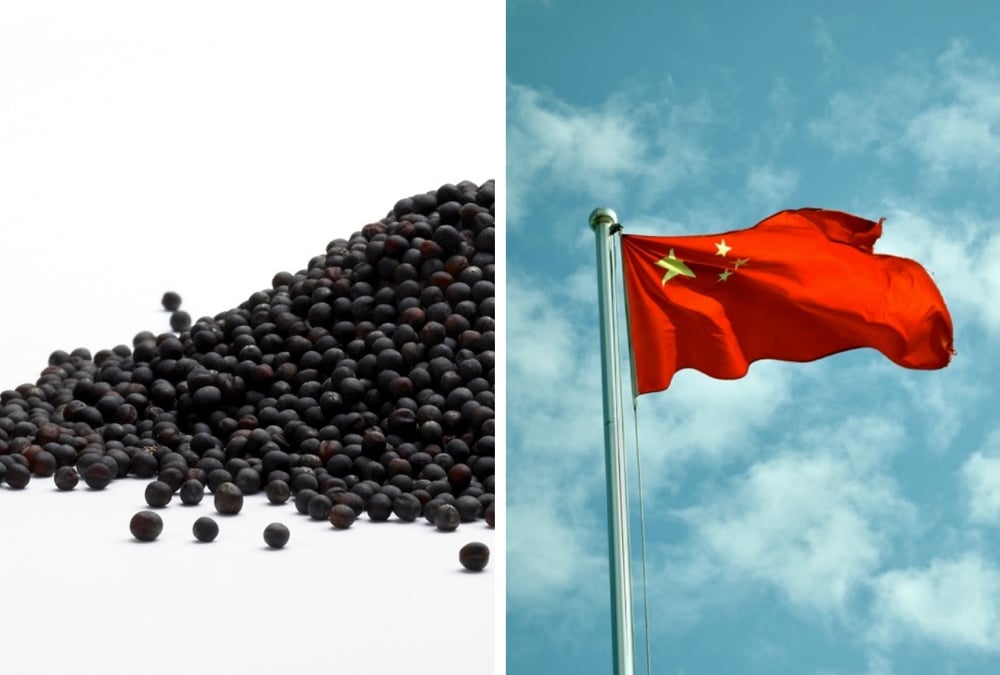 China's New Rapeseed Meal Partner: India Steps Up Amid Global Trade Uncertainty