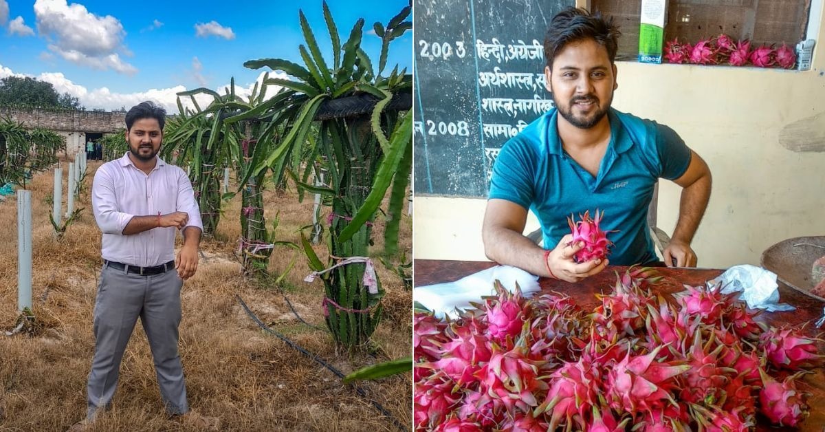 Dragon Fruit Farming: The Spiky Cactus Boosting Farmer Incomes In India