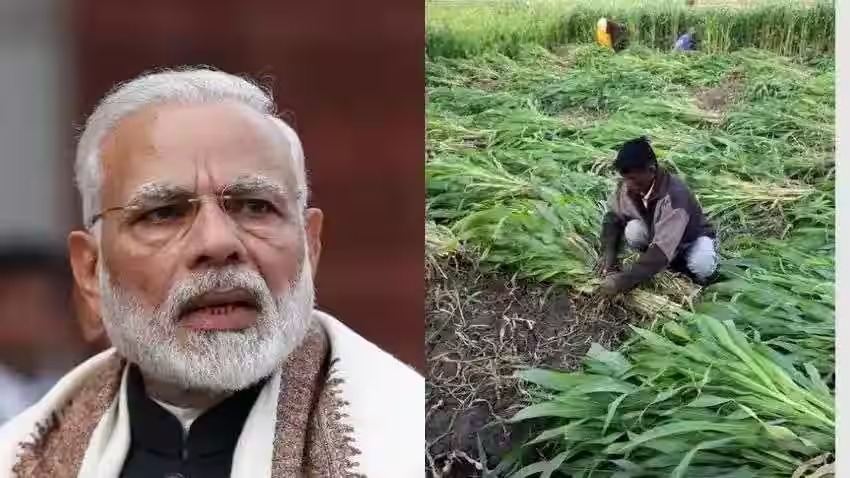 Rs 42,000 Crore Revolution: PM Modi’s Game-Changing Moves to Power Indian Agriculture