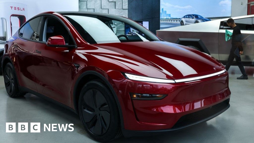 Electric Ambitions, Economic Realities— Will Tesla’s EVs Connect with India’s Cost-Conscious Crowd?