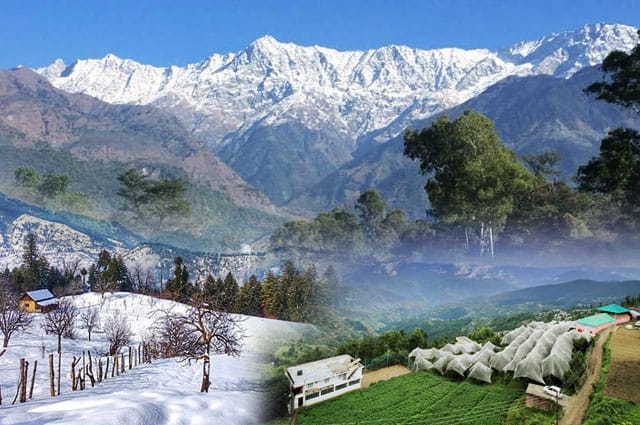 Fresh Air Awaits: Discover India’s Best Pollution-Free Winter Retreats