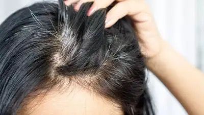 Choco-Locks: How Cocoa Powder Can Keep Grey Hair Away Naturally