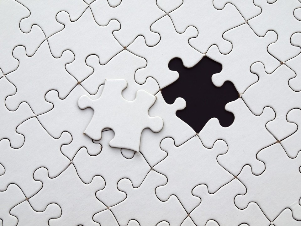 Beyond Passion: Unlocking India's Social Potential by Solving the Mid-Management Puzzle