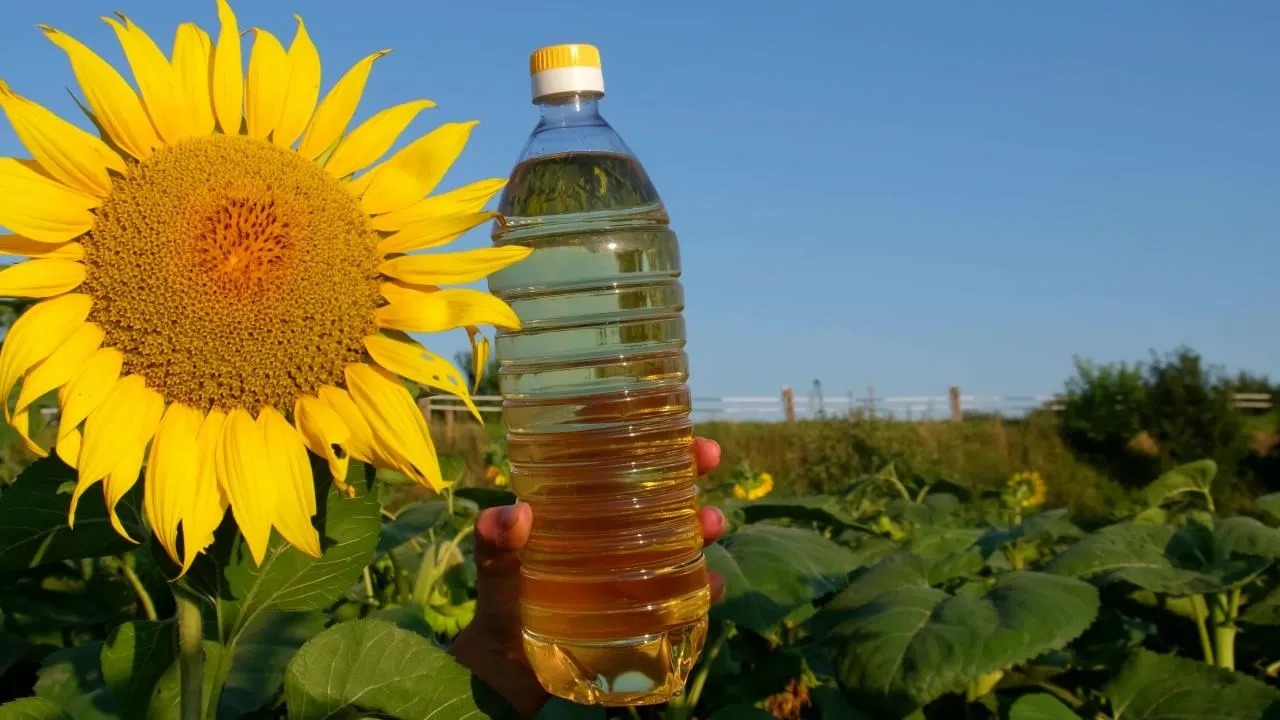 India's September Edible Oil Imports Show Mixed Trends Amid Rising Sunflower And Soyoil Demand