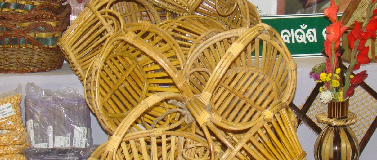 From Craft to Industry: ‘Odisha Bamboo’ Policy Poised to Create New Livelihoods Statewide