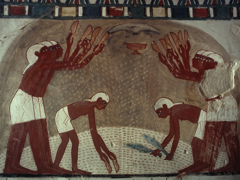 Ancient Civilizations at a Crossroads: The Struggle to Evolve