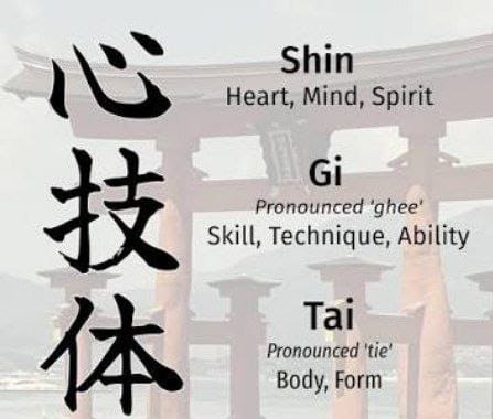 Shin Gi Tai: The Trio of Mind, Skill, and Body Transforming Your Everyday Life