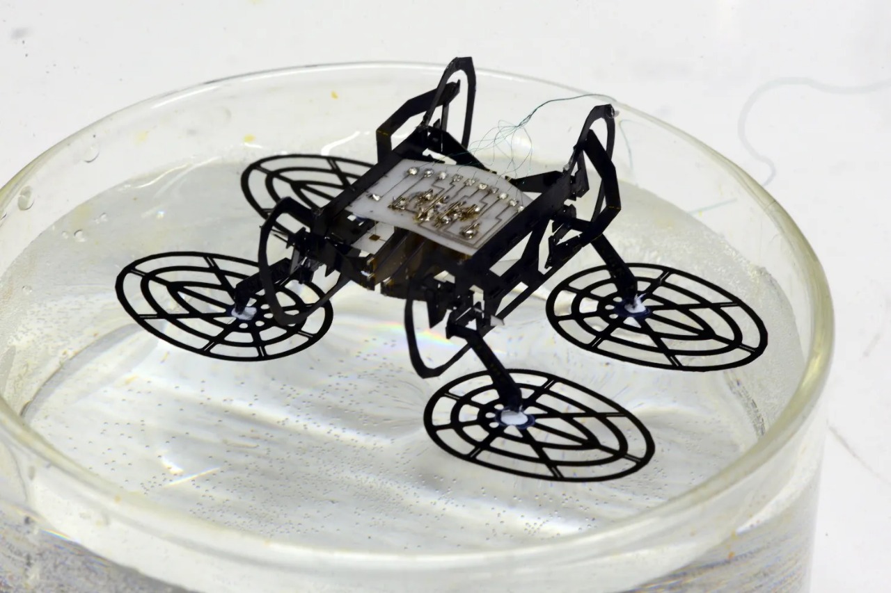 Water Walking Robots Get Smarter Thanks to Ripple Bug ‘Fans’ On Their Feet