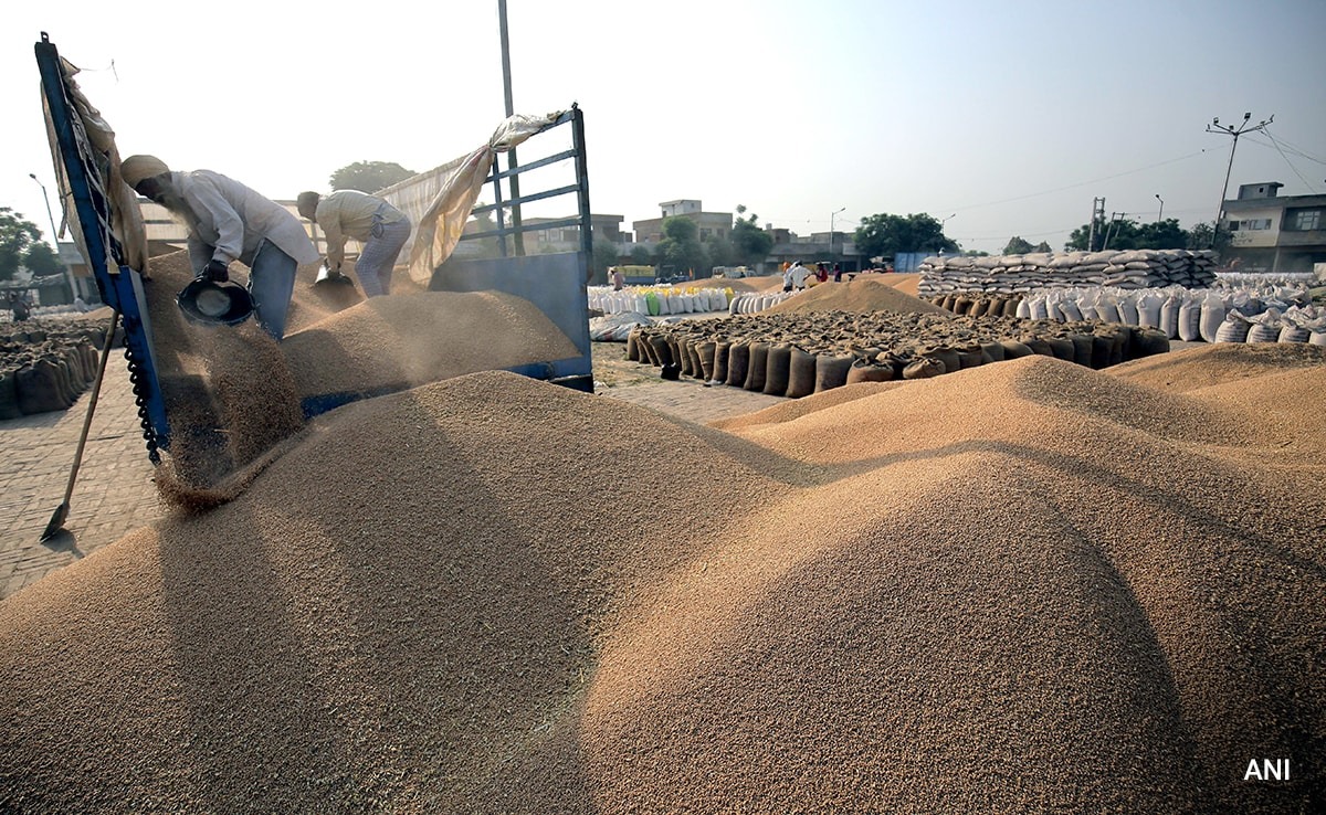 India Approves Higher Purchase Prices for Key Summer-Sown Crops
