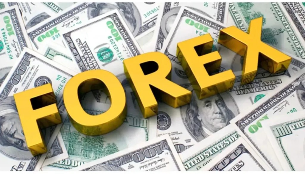 RBI Reports Forex Reserves Holding Strong at $699.96 Billion; No Govt Loans Outstanding